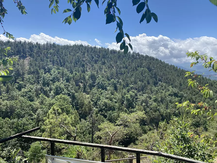 Immagine 24 di Porzione di casa in vendita  a Ponzone