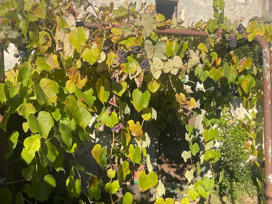 Immagine 60 di Villa in vendita  a Pareto