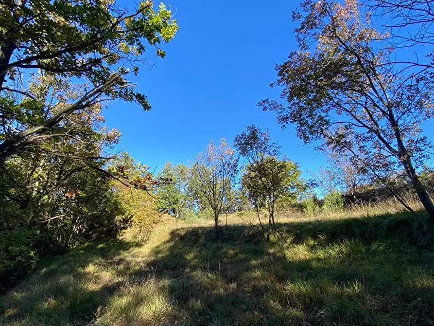 Immagine 8 di Rustico / casale in vendita  in Loc Ormei a Ponzone