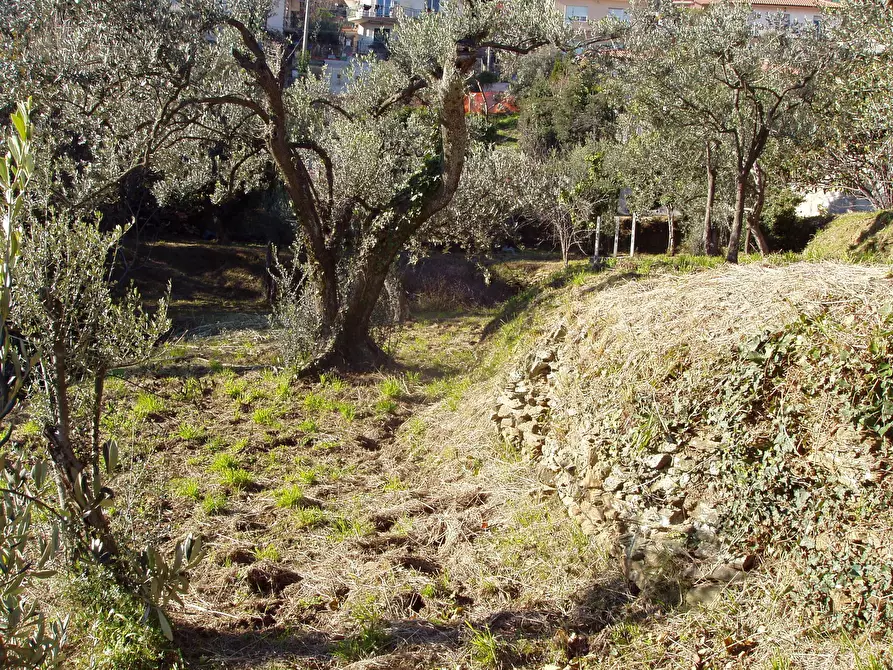 Immagine 12 di Villa in vendita  a Varazze