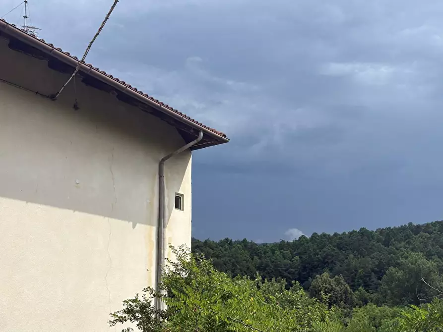 Immagine 11 di Rustico / casale in vendita  in SP216 6 a Pareto