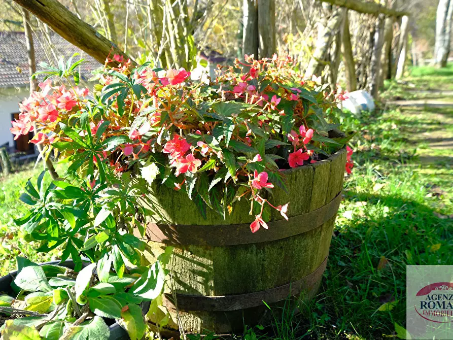 Immagine 14 di Rustico / casale in vendita  a Urbe