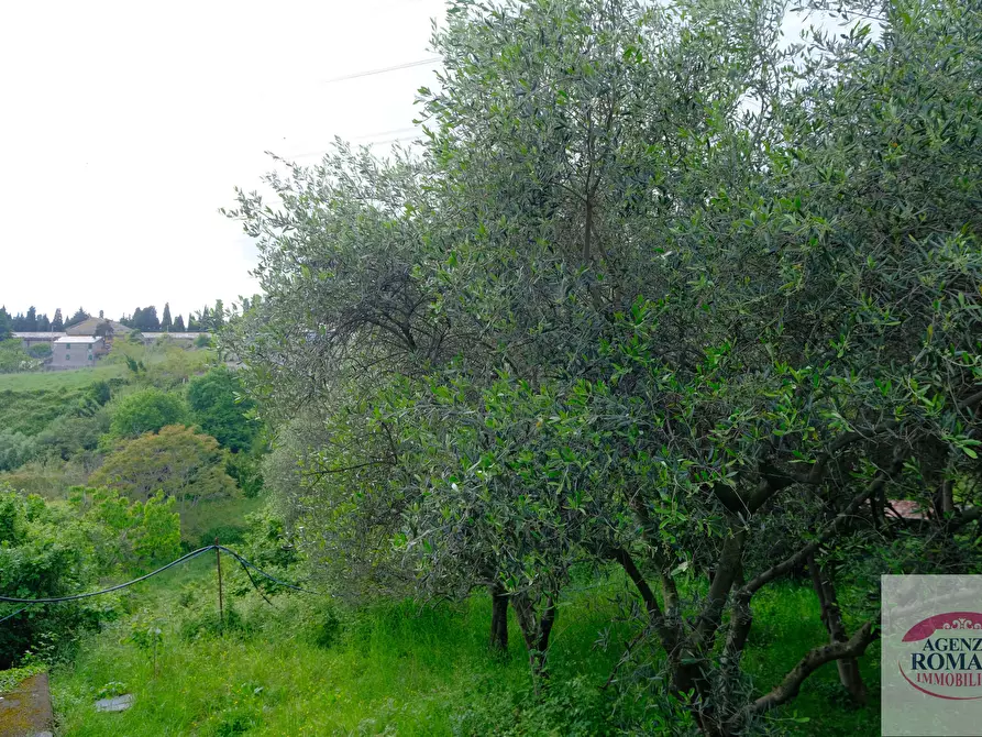 Immagine 22 di Rustico / casale in vendita  in Via Monte Guano 19 a Genova