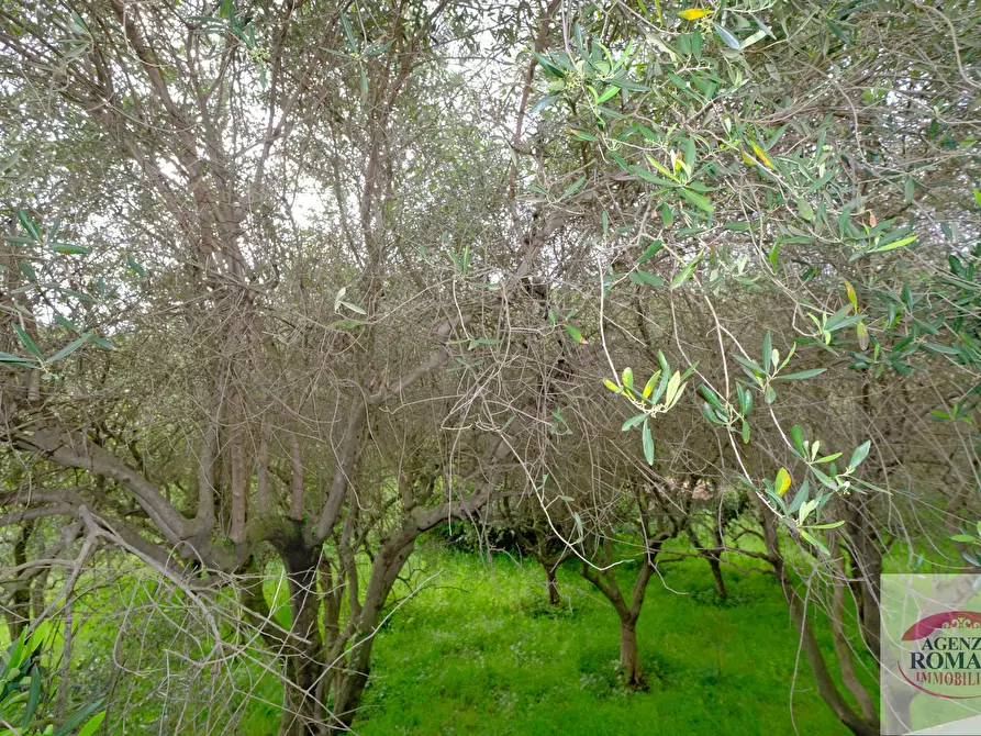 Immagine 23 di Rustico / casale in vendita  in Via Monte Guano 19 a Genova