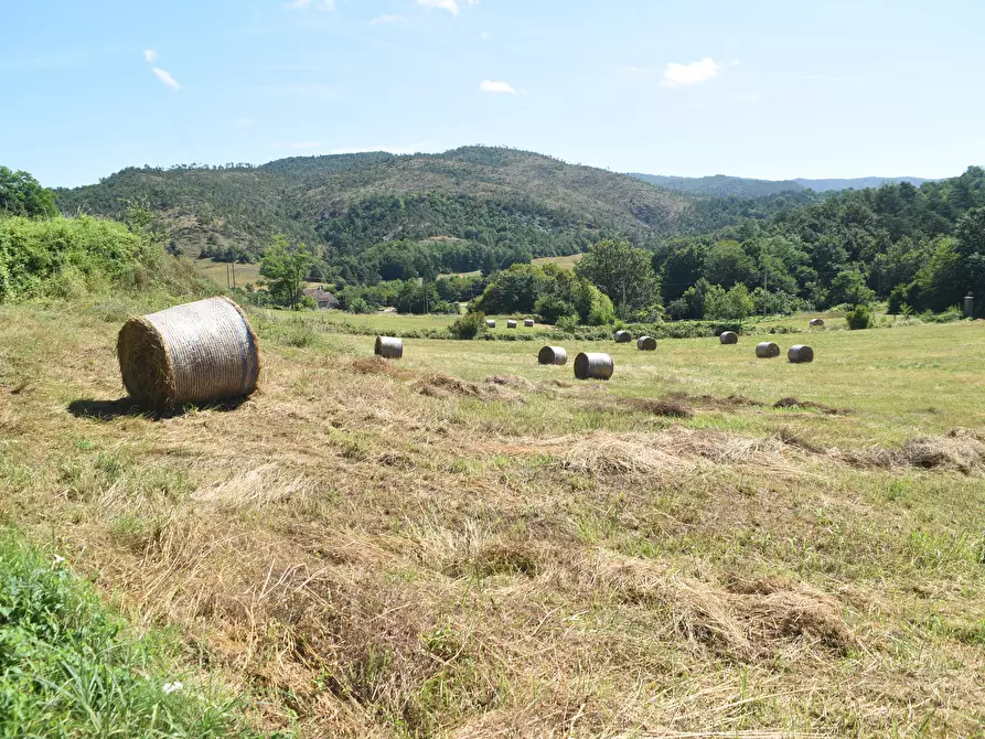Immagine 39 di Casa trifamiliare in vendita  in località GROSSA a Sassello