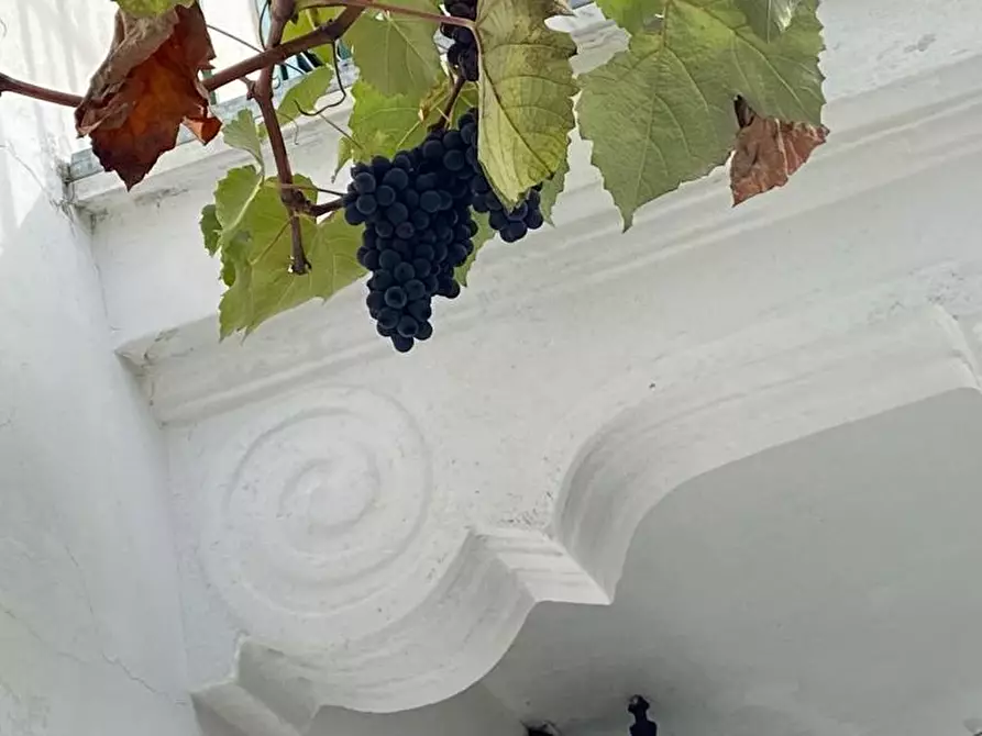 Immagine 8 di Rustico / casale in vendita  in via miogliola 6 a Pareto