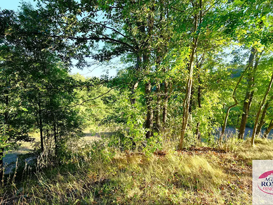 Immagine 20 di Casa bifamiliare in vendita  a Cartosio
