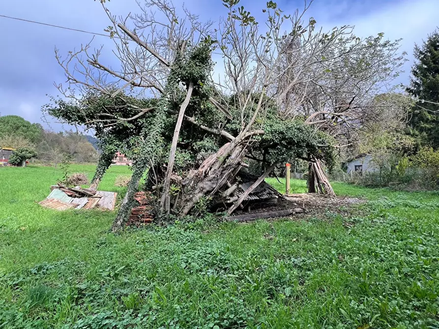 Immagine 17 di Terratetto in vendita  a Stella