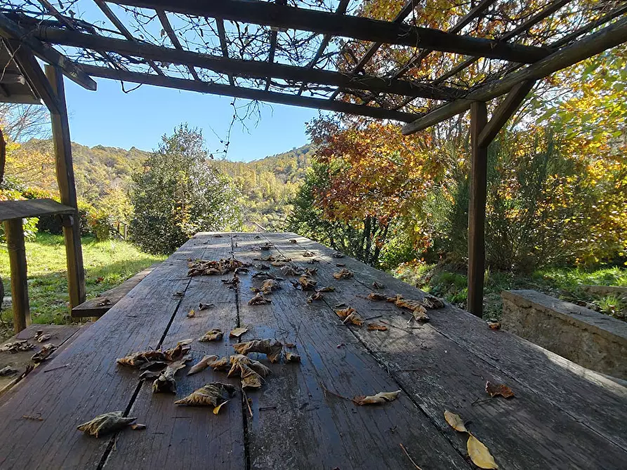 Immagine 18 di Villa in vendita  in Via Menacciano 1 a Pontinvrea