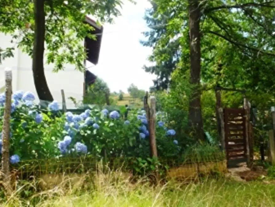 Immagine 16 di Appartamento in vendita  a Urbe