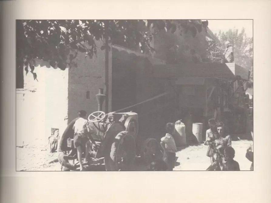 Immagine 62 di Casa indipendente in vendita  a Molare