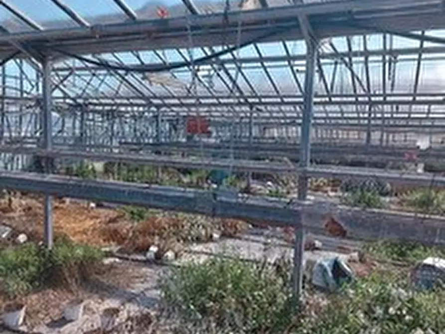 Immagine 10 di Villa in vendita  in Regione Rollo 117 a Albenga