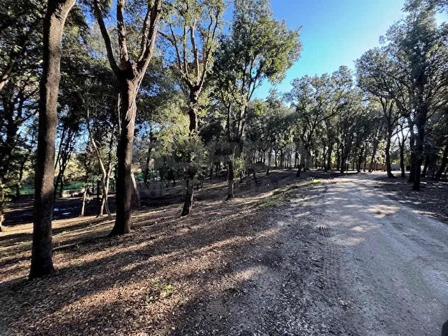 Immagine 9 di Terratetto in vendita  in Via Ombrosa 8 a Livorno