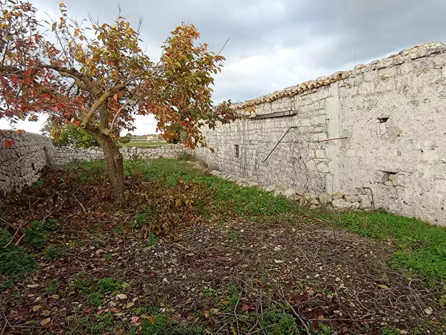 Immagine 6 di Rustico / casale in vendita  a Ragusa