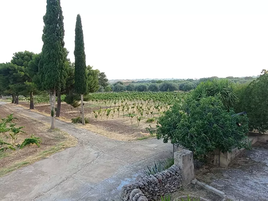Immagine 43 di Villa in vendita  a Chiaramonte Gulfi