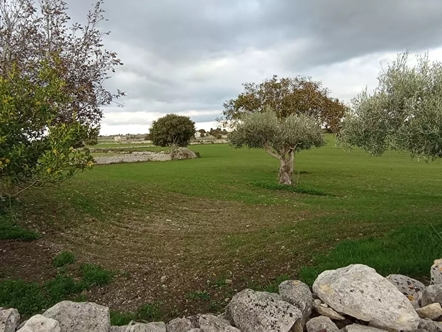 Immagine 1 di Rustico / casale in vendita  a Ragusa
