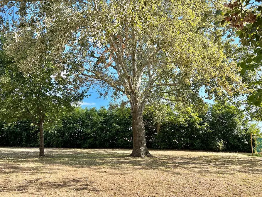 Immagine 42 di Villa in vendita  a Cesena