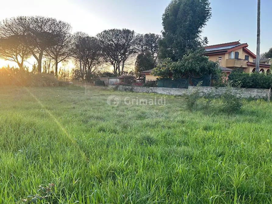 Immagine 7 di Terreno agricolo in vendita  in Via Gavi 6 a Aprilia