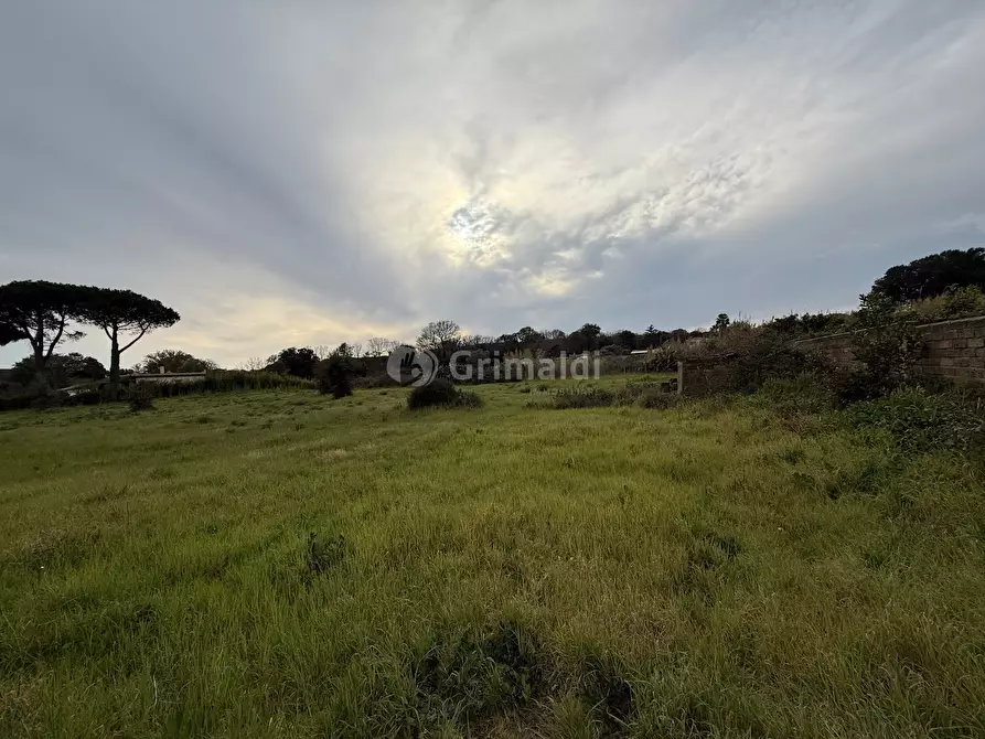 Immagine 3 di Terreno edificabile in vendita  in VIA CENTOCELLE 1 a Anzio