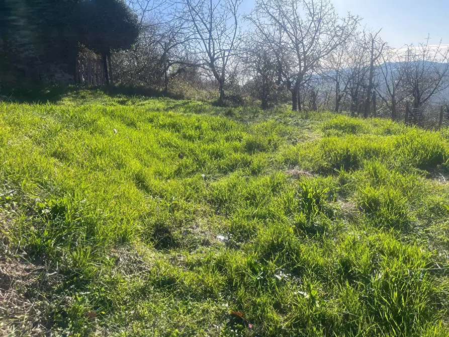 Immagine 15 di Albergo/B&B/Residence in vendita  in Via Giacomo Leopardi 10 a Carro