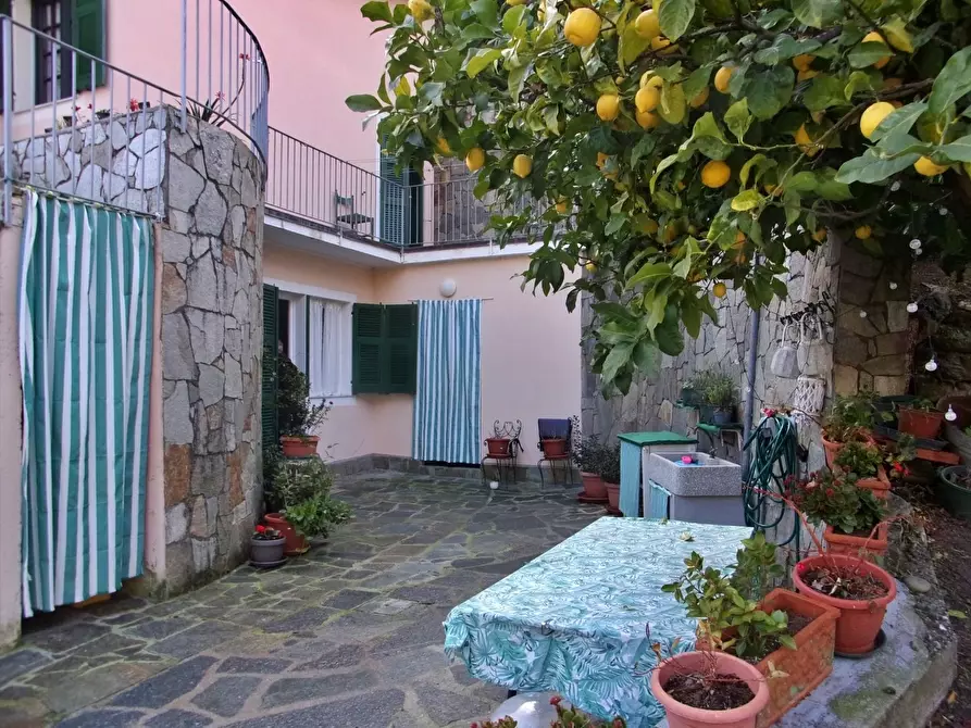 Immagine 26 di Villa in vendita  in Via Fossato 8 a Levanto