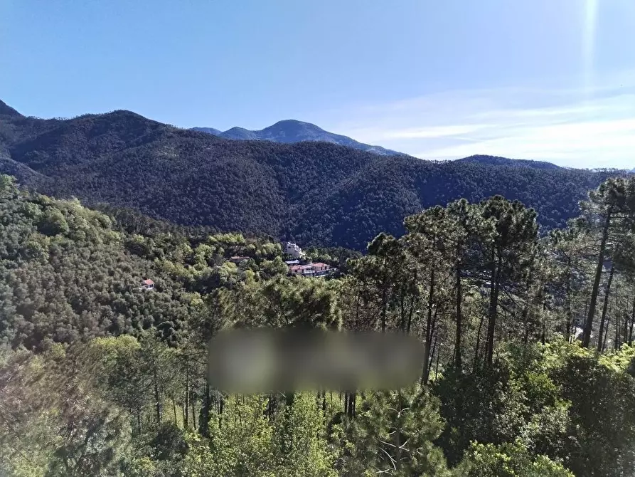 Immagine 6 di Mansarda in vendita  in Via Olivella Caminata 36 a Casarza Ligure