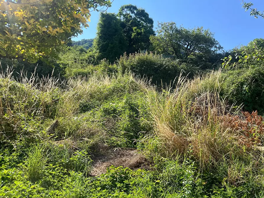 Immagine 4 di Porzione di casa in vendita  in Via IV Novembre 20 a Maissana
