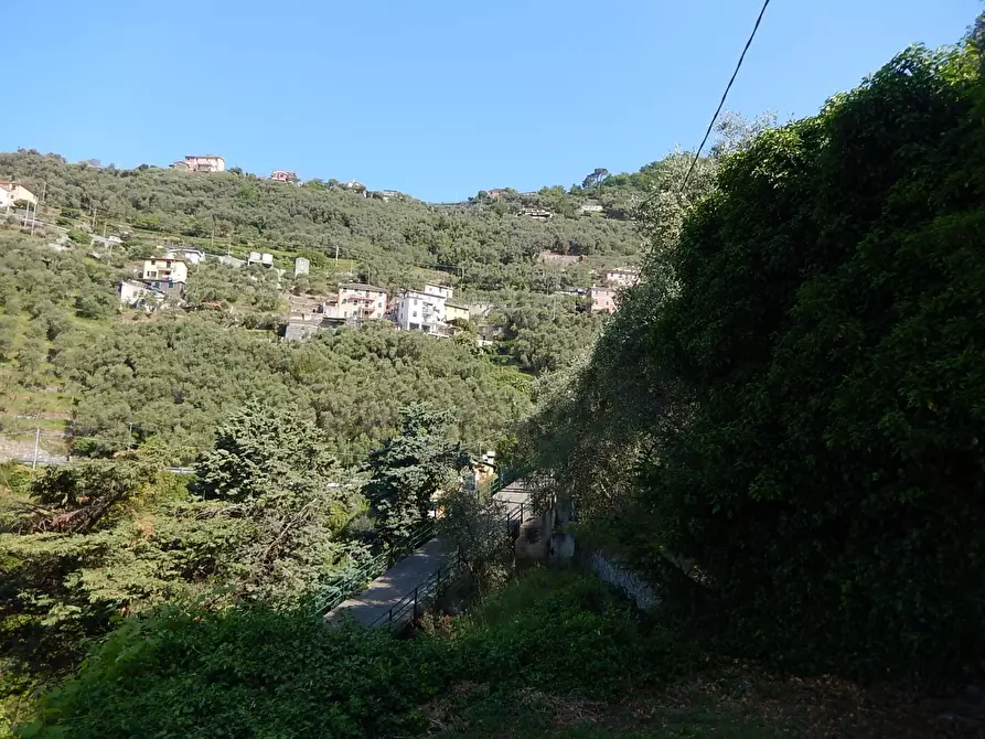 Immagine 20 di Rustico / casale in vendita  in Via Costigliolo a Cogorno