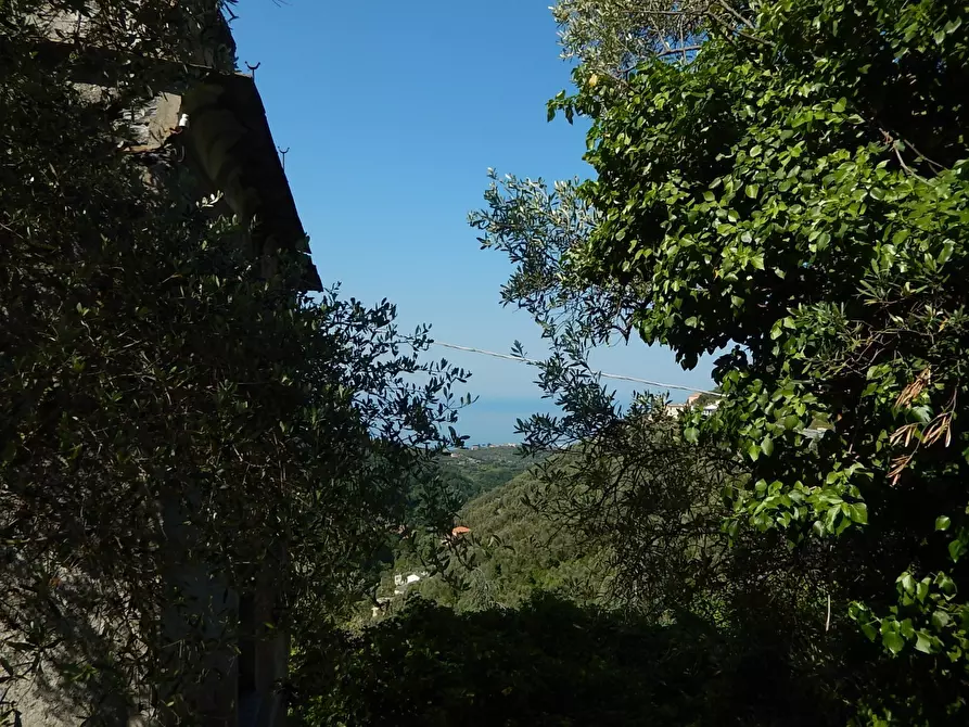 Immagine 10 di Rustico / casale in vendita  in Via Costigliolo a Cogorno