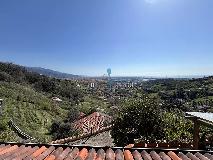 Immagine 31 di Villa in vendita  in Via San Lorenzo 70 a Massa