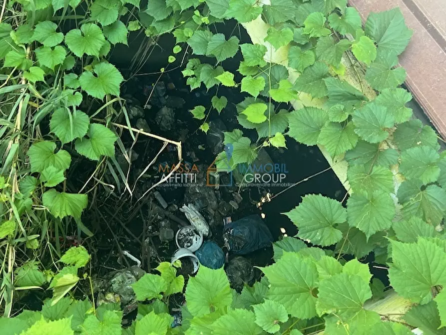 Immagine 8 di Casa indipendente in vendita  in Via del Fescione 1 a Massa