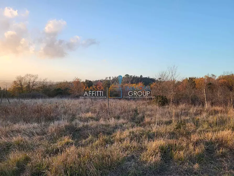 Immagine 12 di Terreno agricolo in vendita  in Via Carbonaia a Palaia