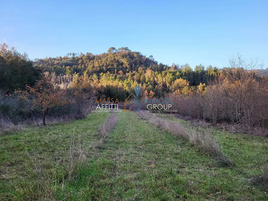 Immagine 15 di Terreno agricolo in vendita  in Via Carbonaia a Palaia