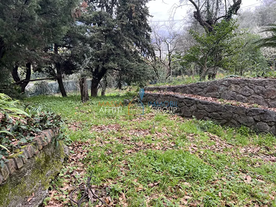 Immagine 11 di Villa in vendita  in Via Tecchioni 5 a Massa