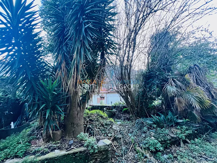 Immagine 6 di Casa indipendente in vendita  in Via Fondaccio 12 a Montignoso