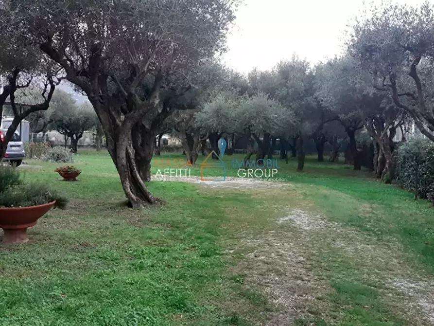 Immagine 11 di Pentalocale in vendita  in Via G. Carducci 185 a Massa