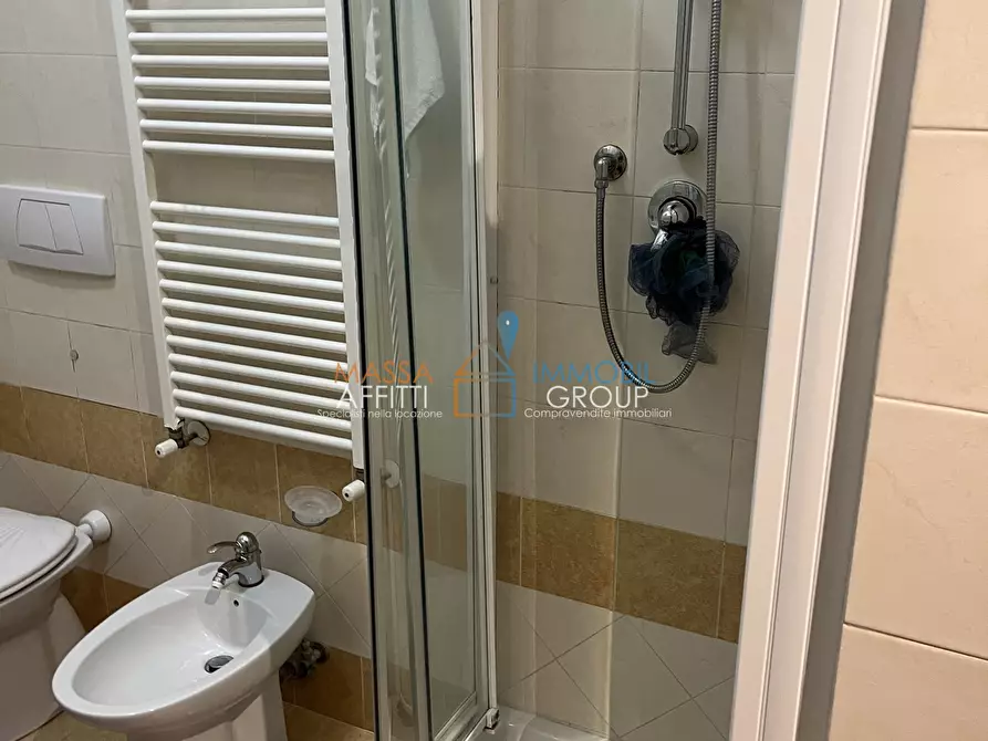 Immagine 19 di Trilocale in affitto  in Viale Roma 45 a Massa