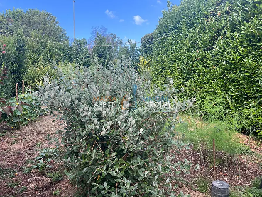 Immagine 8 di Attività artigianale in vendita  in Via Torretta 37 a Pietrasanta