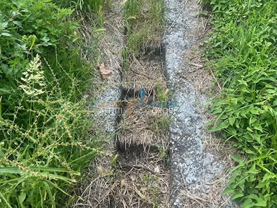Immagine 4 di Terreno agricolo in vendita  in Via del Pozzo 2 a Massa
