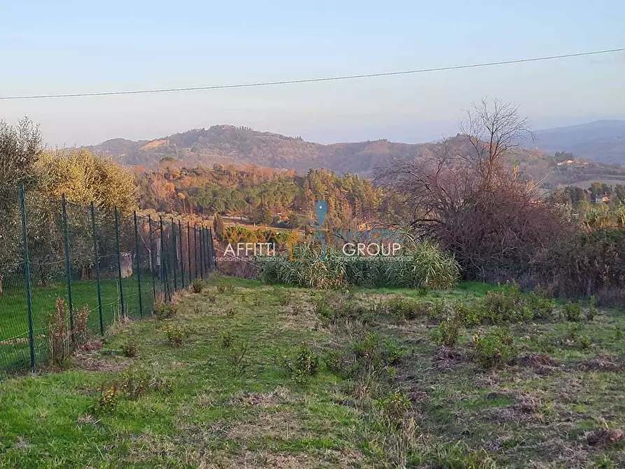 Immagine 11 di Terreno agricolo in vendita  in Via Carbonaia a Palaia