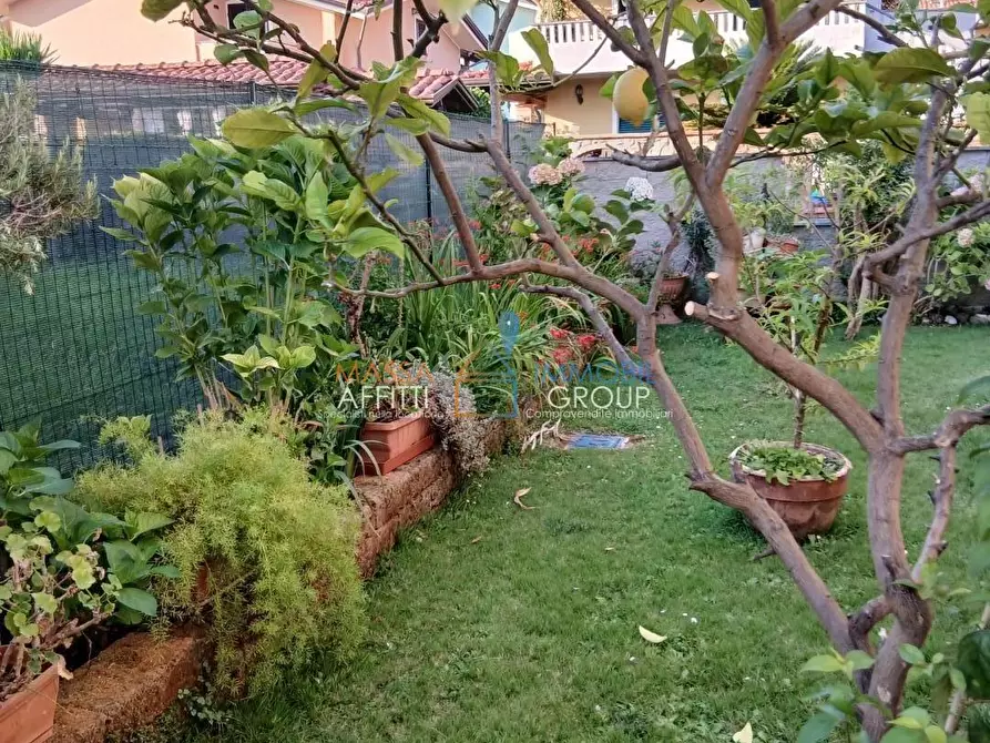 Immagine 2 di Villetta a schiera in vendita  in Via Venezia 42 a Massa