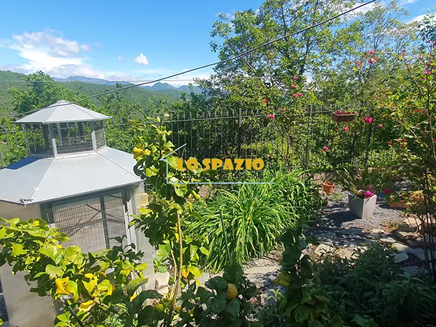 Immagine 23 di Casa indipendente in vendita  in Piazza Iv Novembre a Testico