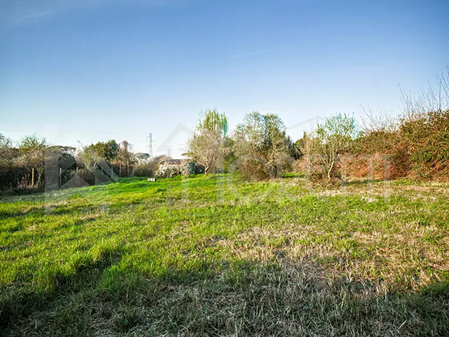 Immagine 40 di Terreno agricolo in vendita  in Via delle Sorgenti a Livorno
