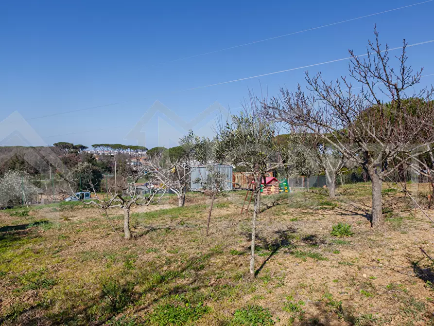 Immagine 7 di Terreno agricolo in vendita  in Via delle Sorgenti a Livorno