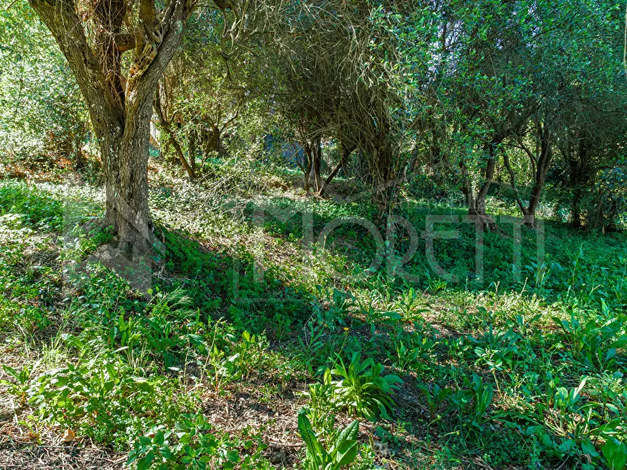 Immagine 104 di Villa in vendita  in Via Parrana San Martino a Collesalvetti