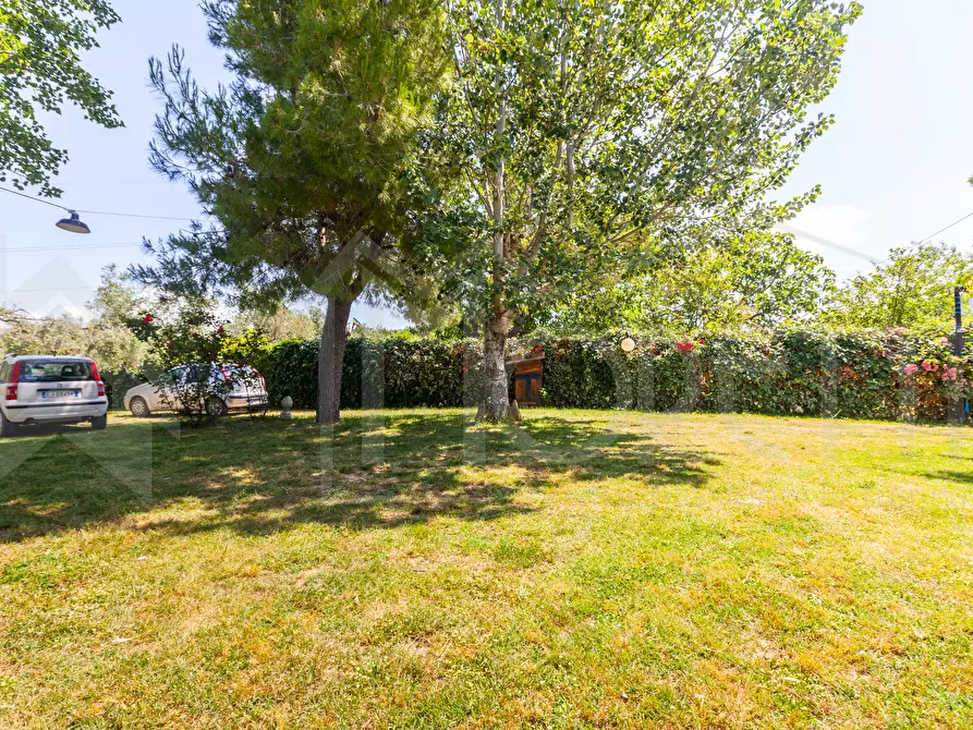 Immagine 14 di Terreno agricolo in vendita  in Via dell'Uliveta a Livorno