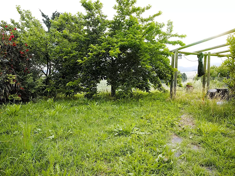 Immagine 16 di Trilocale in vendita  in Via Orcianese 6 6 a Collesalvetti