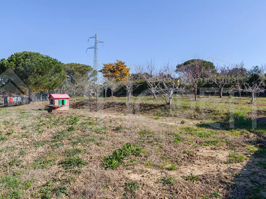 Immagine 6 di Terreno agricolo in vendita  in Via delle Sorgenti a Livorno