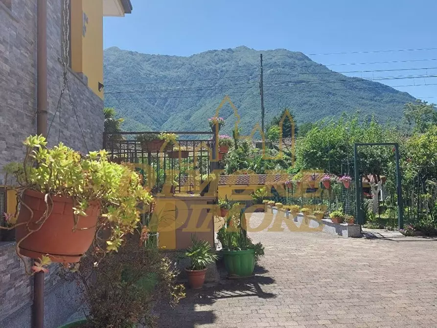 Immagine 18 di Trilocale in vendita  a Vogogna