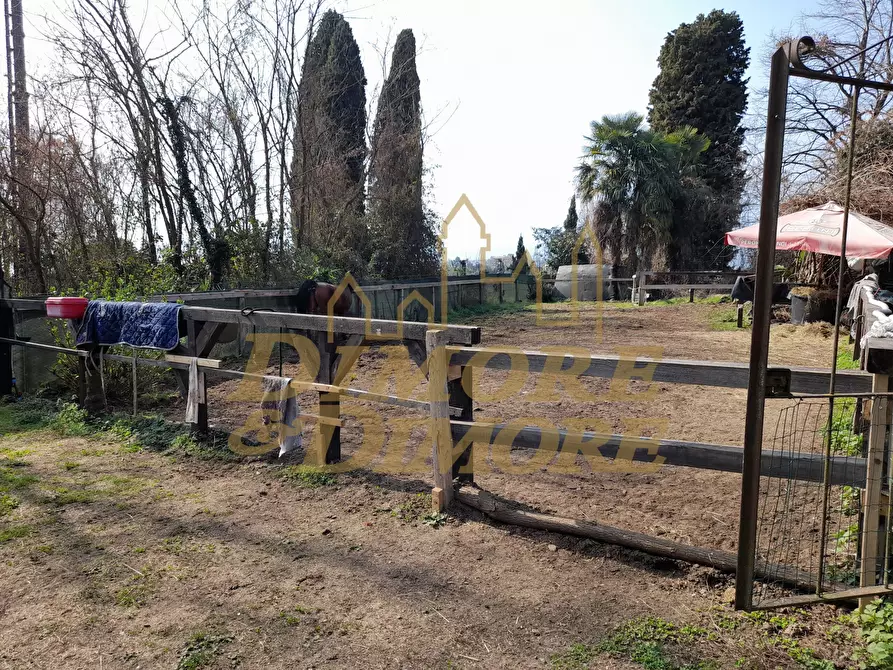 Immagine 4 di Terreno agricolo in vendita  a Verbania
